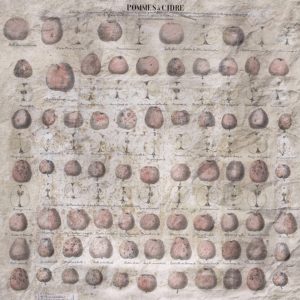 Панно Wall & Deco, коллекция Collection 2018, артикул WDPC1802