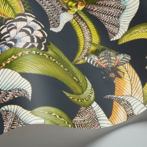 Английские обои Cole & Son, коллекция Ardmore Jabula, артикул 119/1002