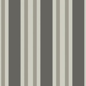Английские обои Cole & Son, коллекция Marquee Stripes, артикул 110/1001