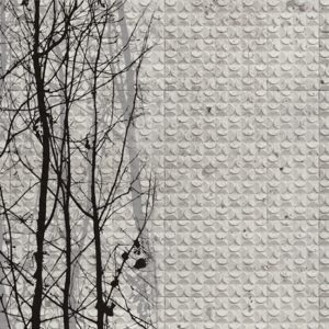 Панно Wall & Deco, коллекция Wet System 2015, артикул WET_FG1502