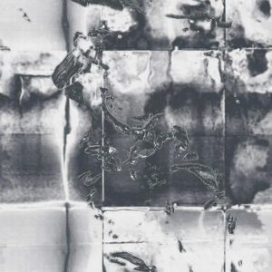 Итальянские обои Wall & Deco, коллекция Wet System 2020, артикул WETLA2001