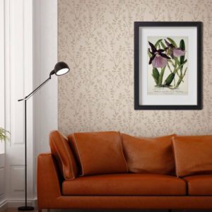 Немецкие обои Architector, коллекция Lauriston, артикул IT912