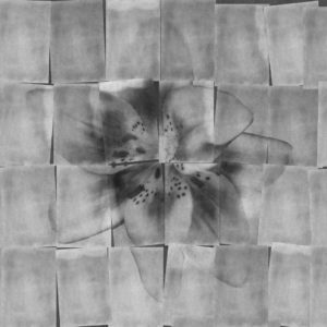 Панно Wall & Deco, коллекция Contemporary Wallpaper 2022, артикул WDSI2202