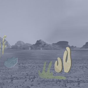 Итальянские обои Wall & Deco, коллекция Contemporary Wallpaper Collection, артикул WDDB2002