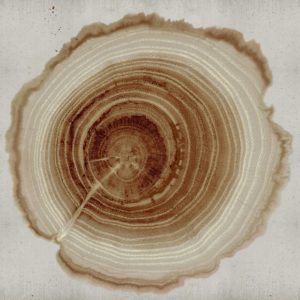 Итальянские обои Wall & Deco, коллекция Contemporary Wallpaper Collection, артикул WDEE2102