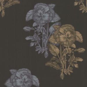 Английские обои Cole & Son, коллекция Fornasetti, артикул 77/2006