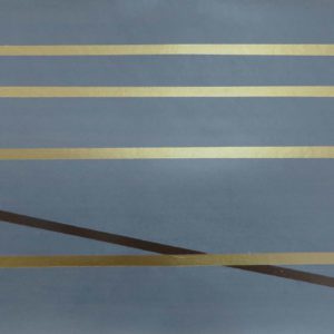 Английские обои Fromental, коллекция Roomskins, артикул Lacets/Baleine