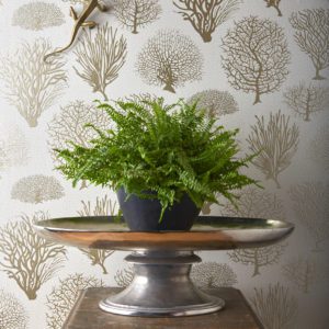 Английские обои Cole & Son, коллекция Curio, артикул 107/2010