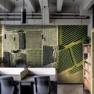 Российские обои Wall Street, коллекция Bird See, артикул 20811