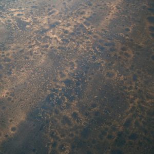 Английские обои Fromental, коллекция Roomskins, артикул Saltwood/Reef