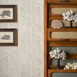 Английские обои Cole & Son, коллекция Curio, артикул 107/10045