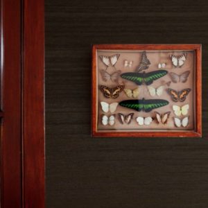 Бельгийские обои Mahieu, коллекция Intrigue, артикул Griffin/10