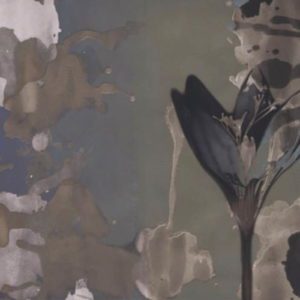 Итальянские обои Wall & Deco, коллекция Contemporary Wallpaper Collection, артикул WDDE2001