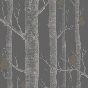 Английские обои Cole & Son, коллекция The Contemporary Collection, артикул 95-5031