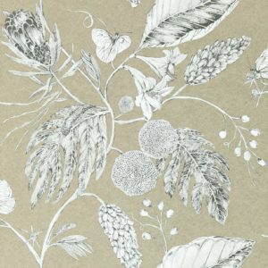 Английские обои Harlequin, коллекция Palmetto, артикул 111222