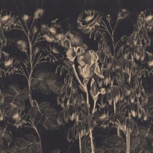 Итальянские обои Wall & Deco, коллекция Contemporary Wallpaper Collection, артикул WDMF2002