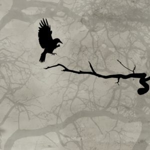 Панно Wall & Deco, коллекция 2014, артикул GPW1416