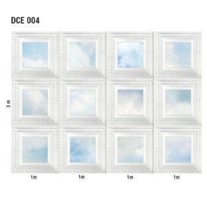 Loymina арт. DCE 004