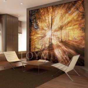 Loymina арт. DF 002