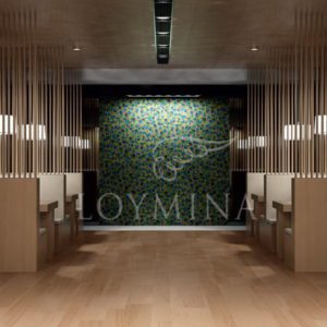 Loymina арт. DM 001