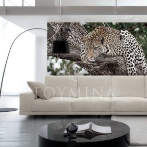 Loymina арт. DM 034