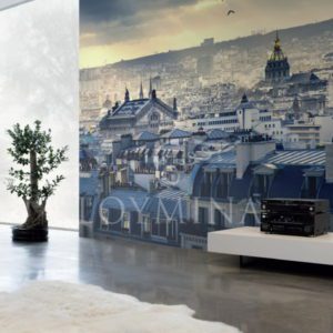 Loymina арт. DS 002