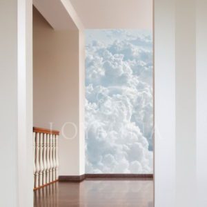 Loymina арт. DSE 001