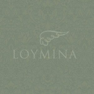 Loymina арт. Jet1 005