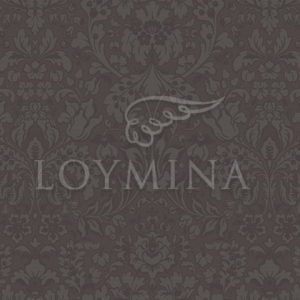Loymina арт. Jet1 009