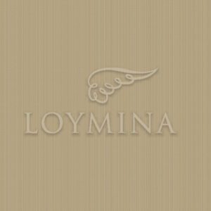 Loymina арт. Jet2 004/1