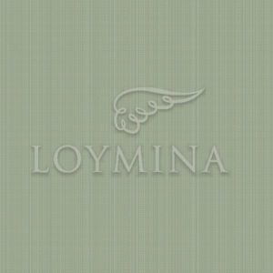 Loymina арт. Jet2 005