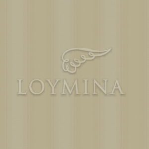 Loymina арт. Jet4 012/1