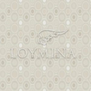 Loymina арт. Jet5 002