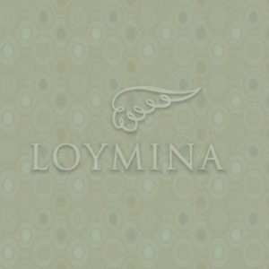 Loymina арт. Jet5 005