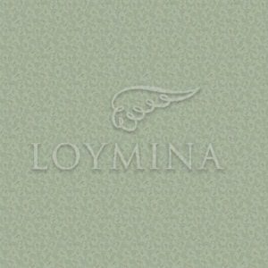 Loymina арт. Jet6 005