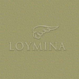 Loymina арт. Jet6 018
