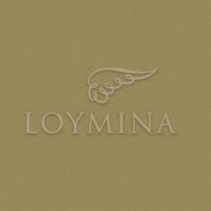 Loymina арт. Jet7 004/1