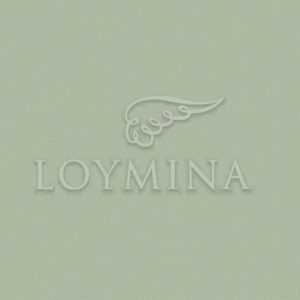 Loymina арт. Jet7 005