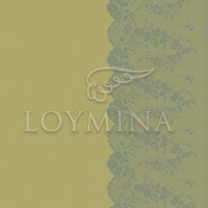 Loymina арт. Jet8 005