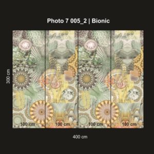 Loymina арт. Photo 7 005/2