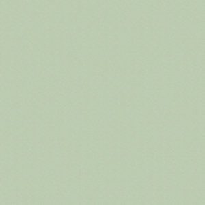 Loymina арт. ST 0605