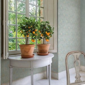 Loymina арт. Td2 006