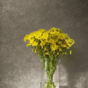 Loymina арт. Td7 011/1