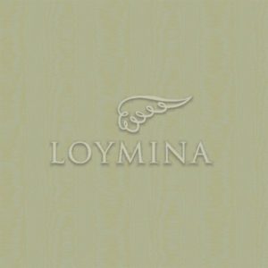 Loymina арт. V5 005