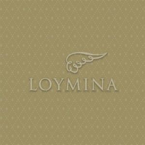 Loymina арт. V8 004