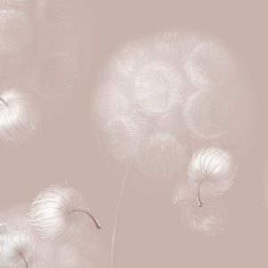 VR.0051-B, Одуванчики