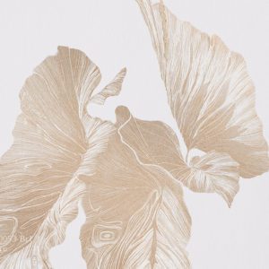 VR.0053-Br1, Лианы