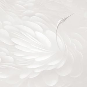 VR.0038-A, Лебеди