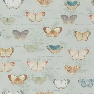 Обои флизелиновые John Derian PJD6017/03 коллекции Picture Book Wallpapers II