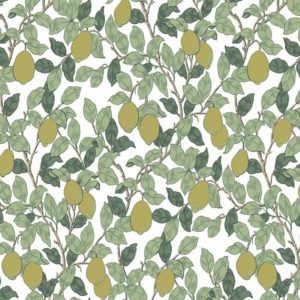 Обои Loymina Equator QTR3002